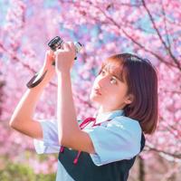 不知如何喜欢，所以喜欢。