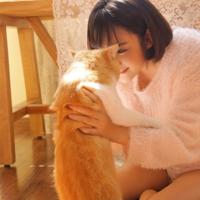 包拯巧捉赵衙内_民间故事