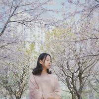 在这个夏天,天荒地老