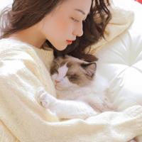 情感口述:会议室教务主任与女老师的性爱故事