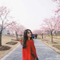 我想你只是想你，但不打扰你！