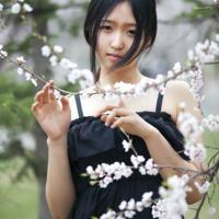 四季之伞，给我真情以灵感