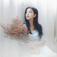 古董首饰杀人案_侦探故事