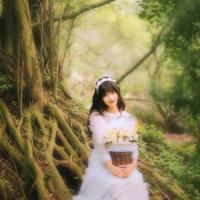 寻找“六尾狐”_民间故事