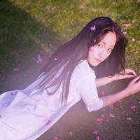 来年重九,还盼君来