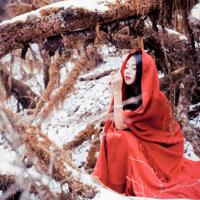 我脑中的小钢琴――关于成长和青春的故事