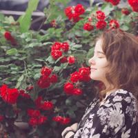 总裁的暖床宝贝 一夜缠欢惹上命定的你 再生缘 我的温柔暴君