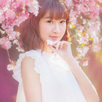 昨日少年、醉了流年