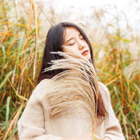 月光仙子与小精灵