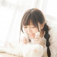 爱情遇见你