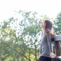 网络时代,全民文学遍地开花