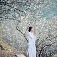 鬼影悬情_灵异故事