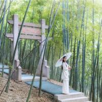 言情小说看太多 请不要有妄想症