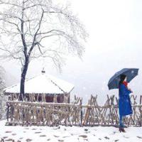 我的花心遇上了更高的骗情女