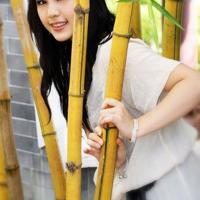 用寂寞杀死你_侦探故事