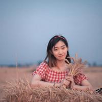 随笔。
