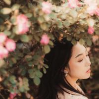 白字状元_民间故事