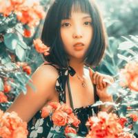 感情的世界里,有人离开就注定会有人进来