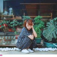 落花,散了一地