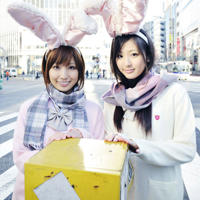 与少妇婚外情 我的生活被惨毁