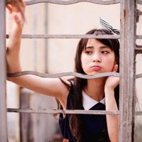 233路的爱情_生活故事