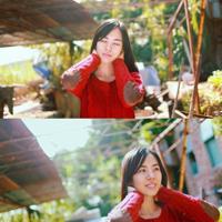 95年属猪的姻缘什么时候到 1995年属猪人的婚姻