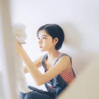 信纸上的柏拉图