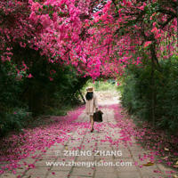 穷秀才娶亲_民间故事