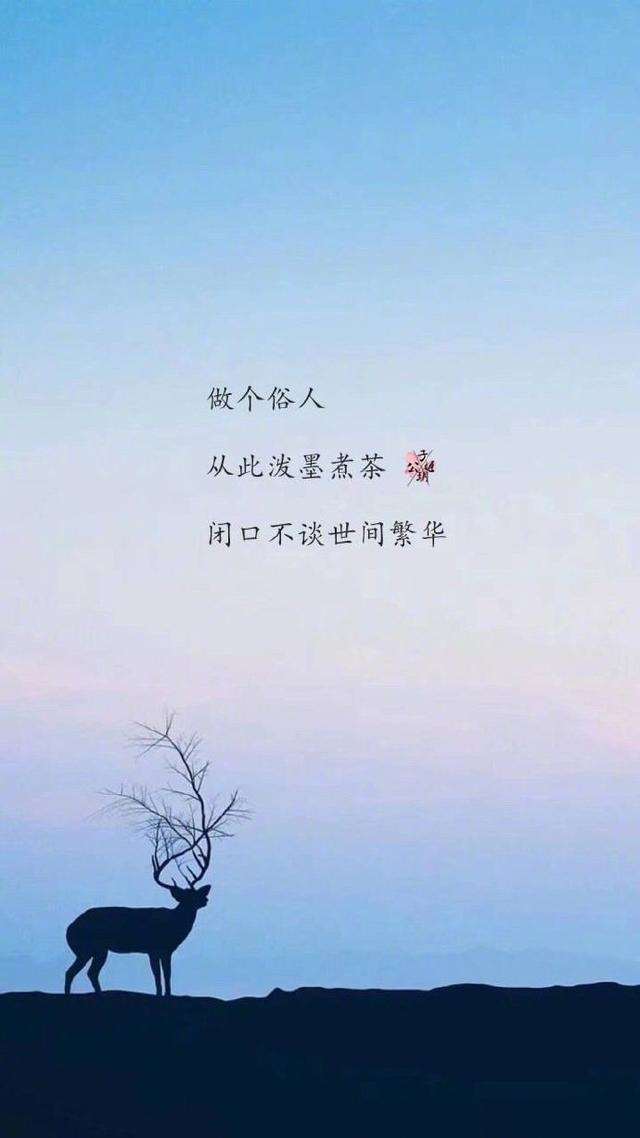 雪中情怀