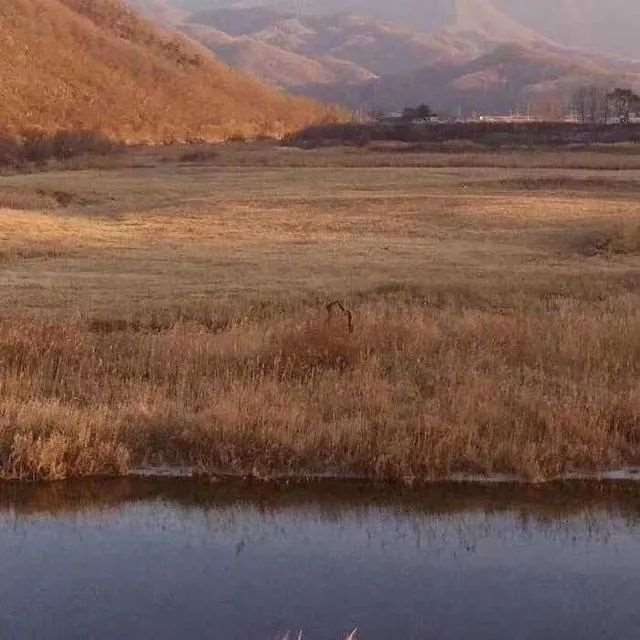 我们来谈谈单恋这件事