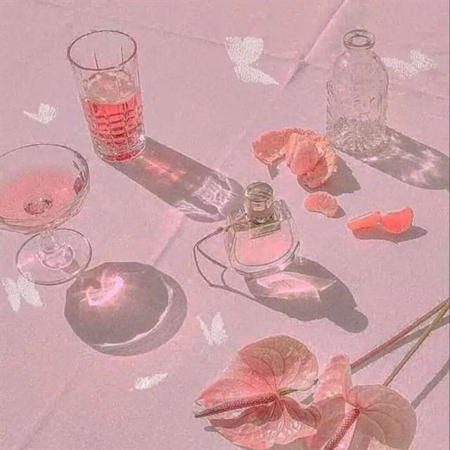 天鸟，偶儿来过