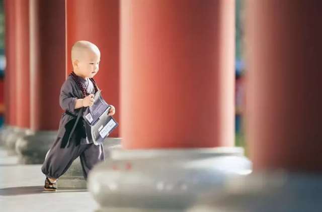 初见与怀念