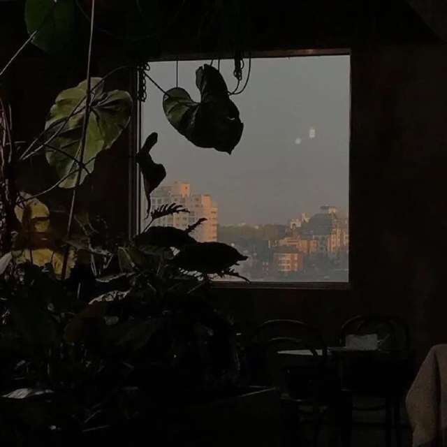 自尊是吃饱了之后的事情