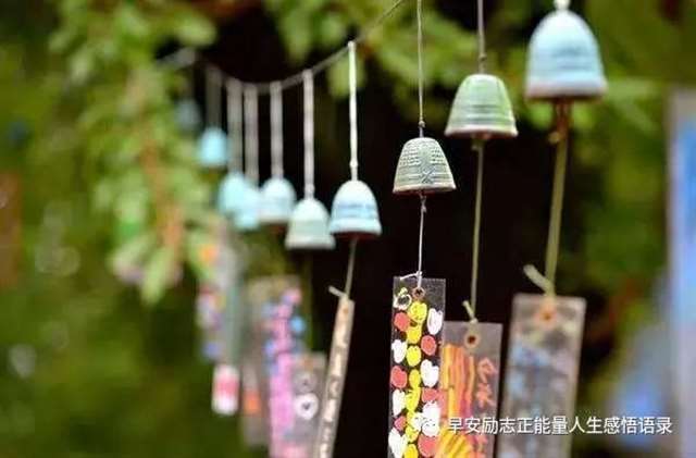 摇曳在田野的时光