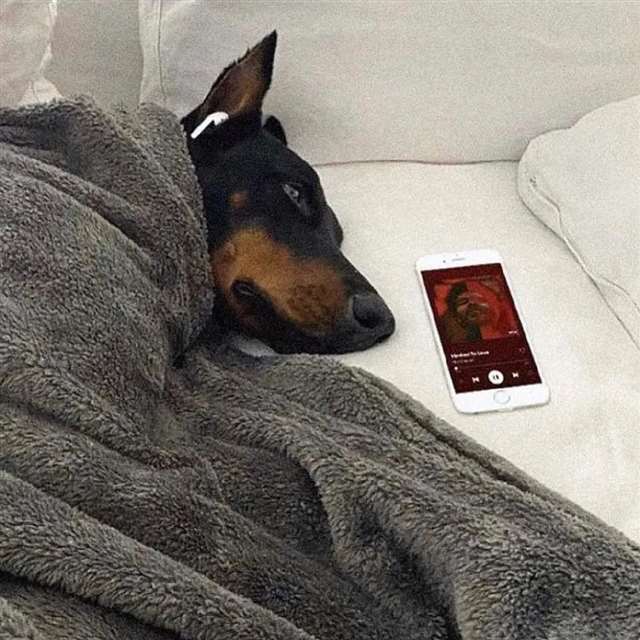 欲望，人性之本