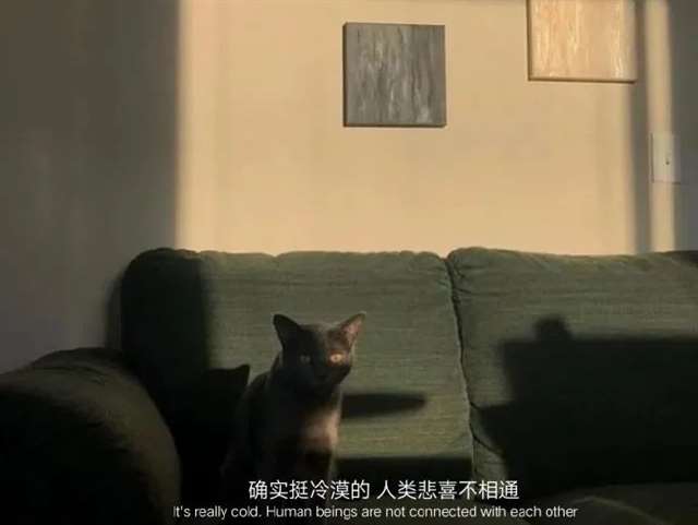幽魂学校