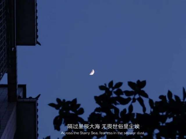 一句感悟旅行的话,感悟句子