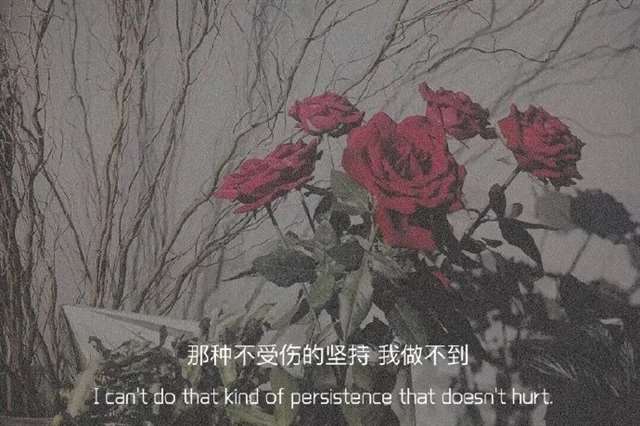 一封男人情书和女人回复 ！(超恐怖)