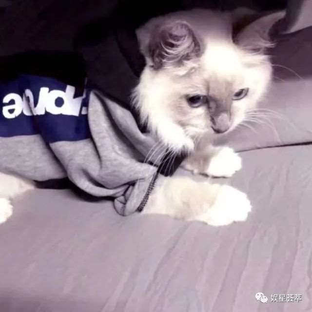 纵使生老病死变老变丑别怕有我爱着
