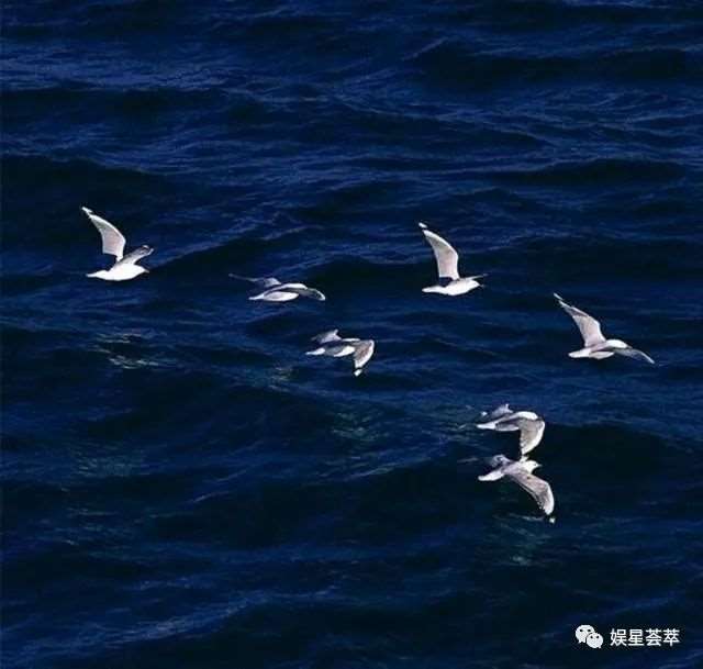 看我如何收拾贱男和“小三”