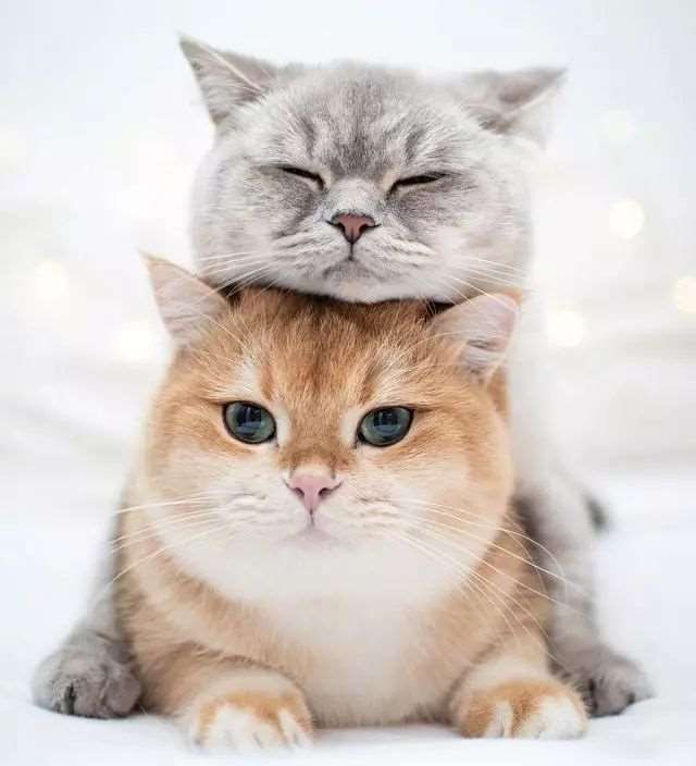 乱系列全文阅读全文目录 玩弄官场人妻少妇