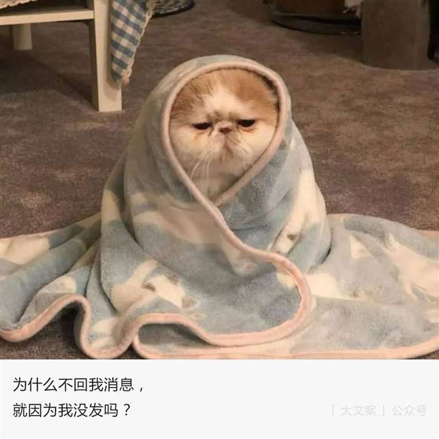 捻字为香，秋收冬藏