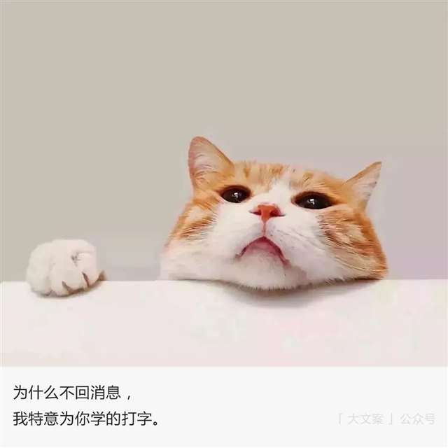 人形汗渍