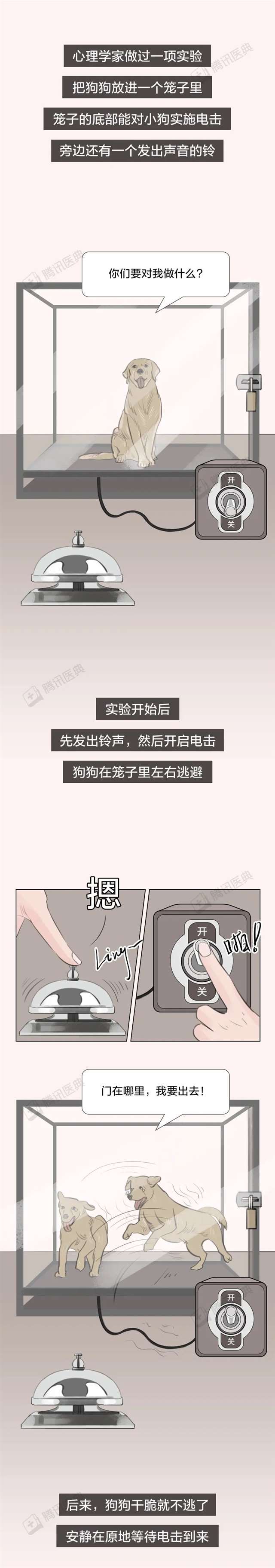 兔子爱吃窝边草