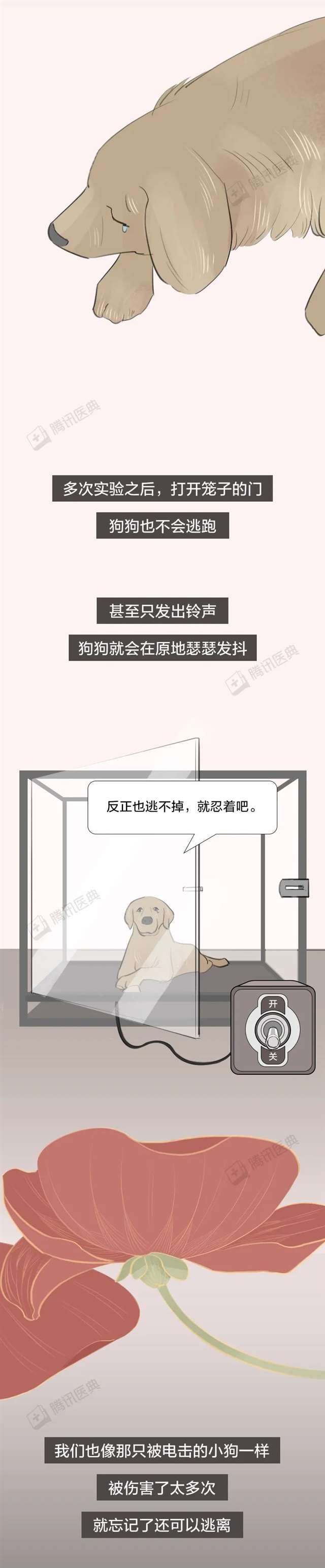 最坏的时光最好的人