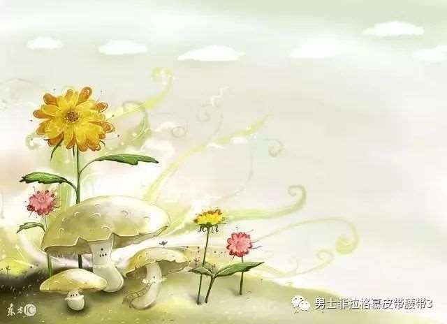你的生命不长，不能用它来悲伤。