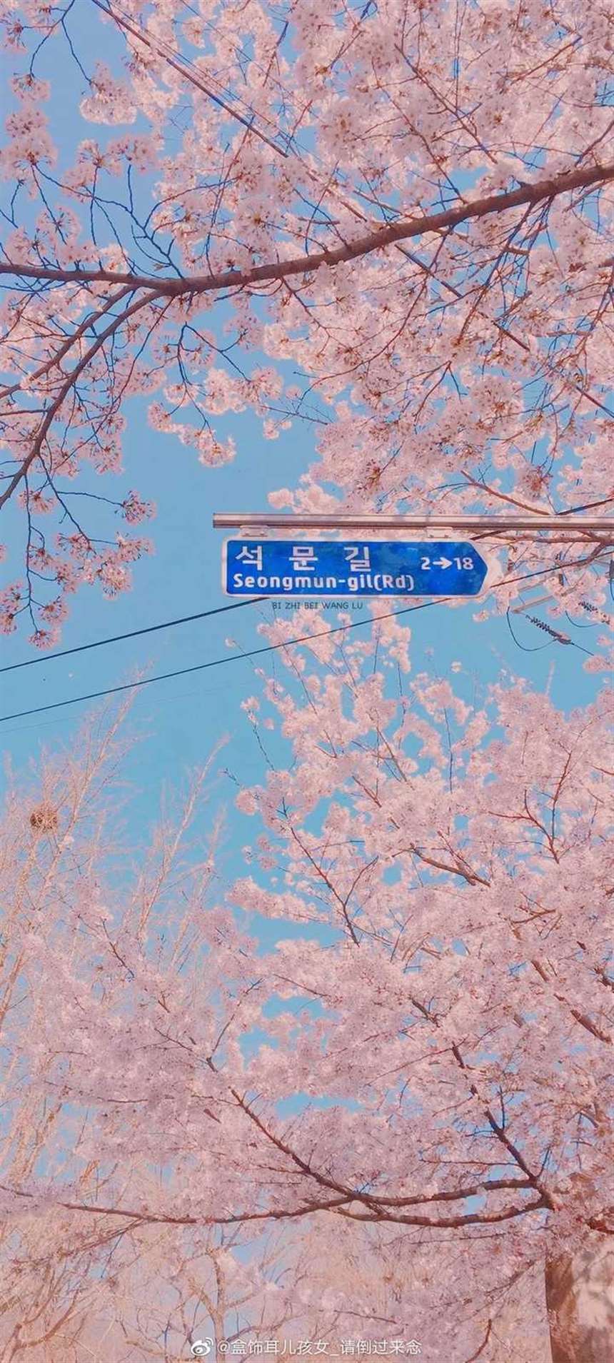 别到处说你的苦，没有人愿意听到负能量