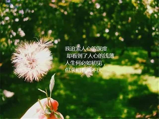 用单身心态过好婚姻生活