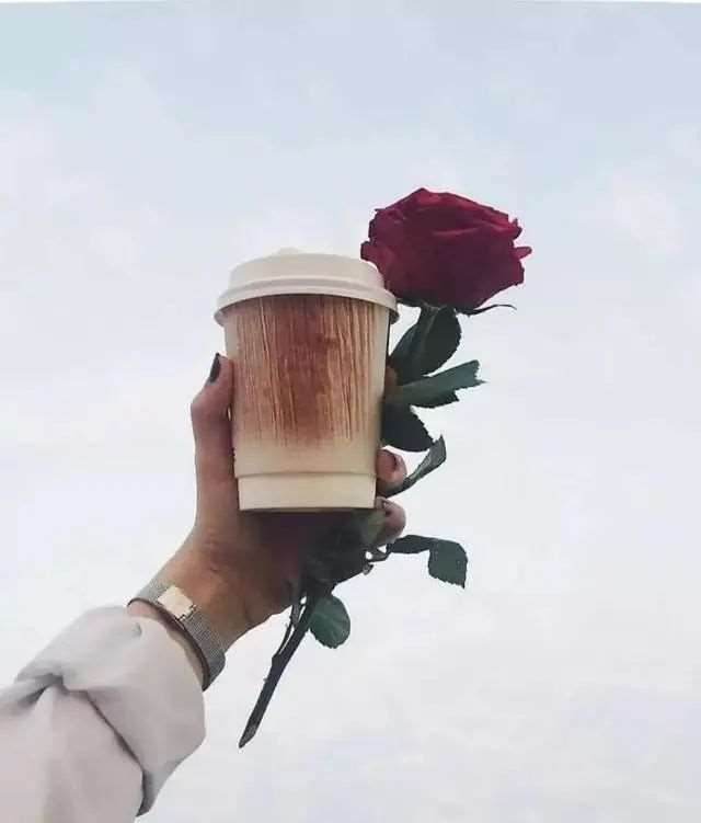 禅语感悟人生的句子|感悟一句话