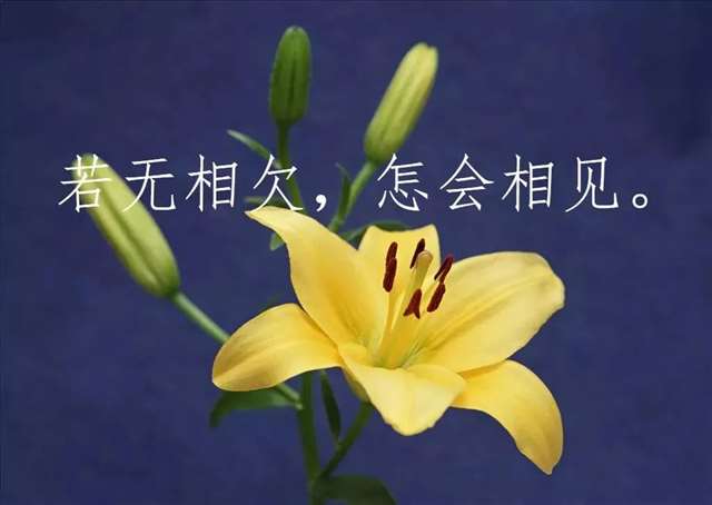 他和他们